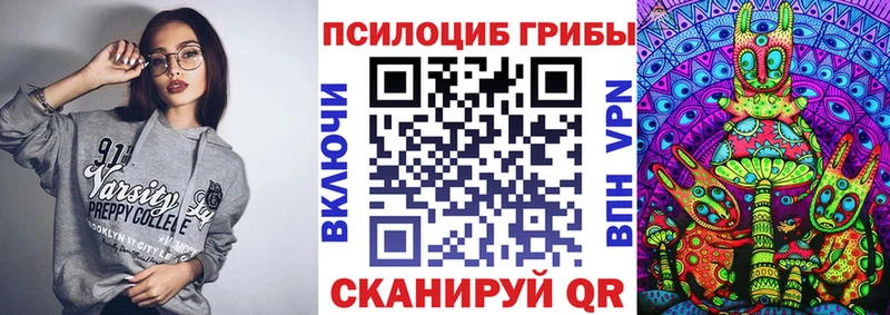 Псилоцибиновые грибы Psilocybe Вязники